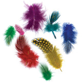 Guinea Plumage Craft Feathers