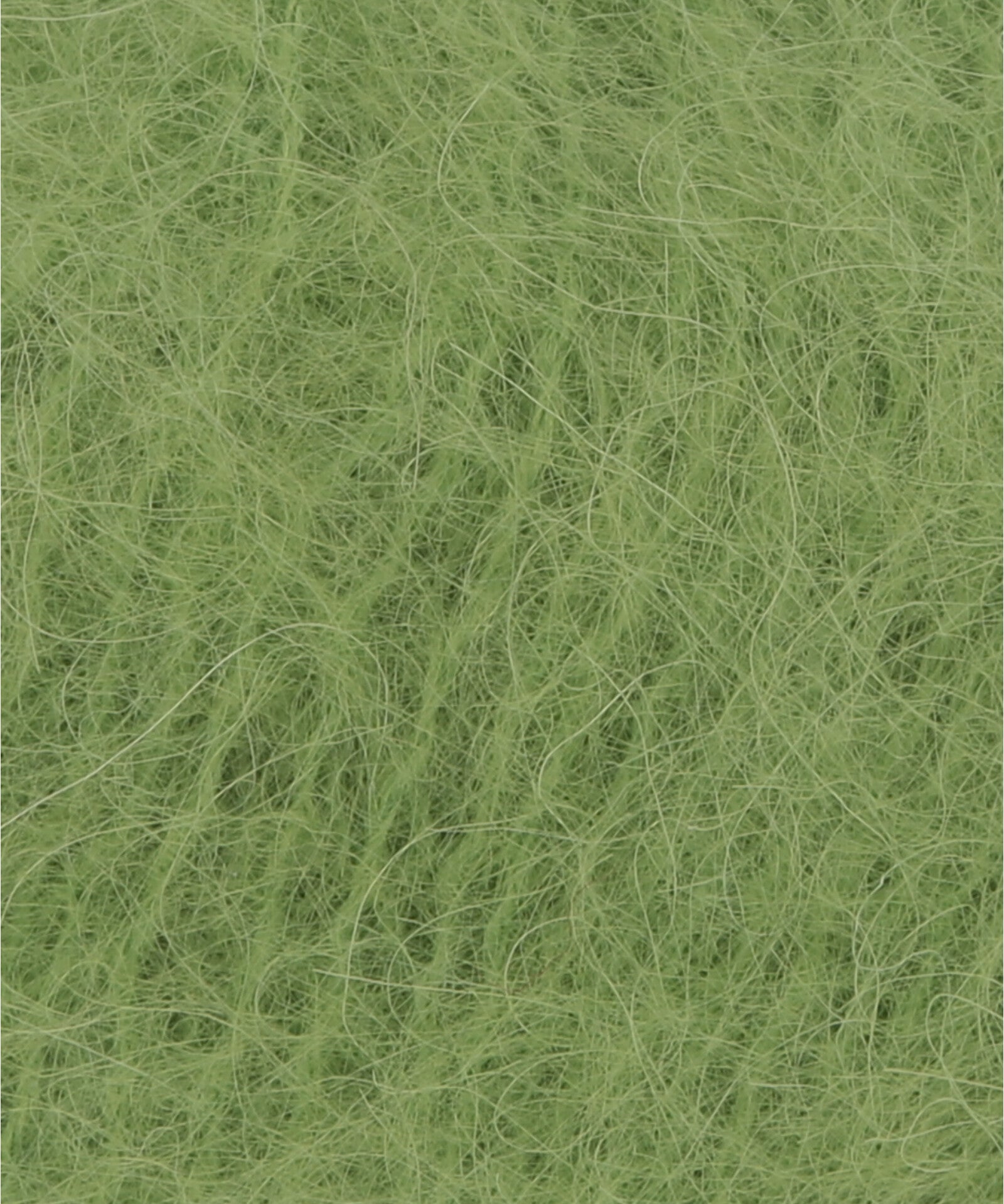 Lang Suri Alpaca
