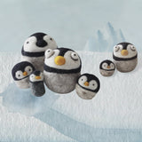 Needle Felting Starter Kit