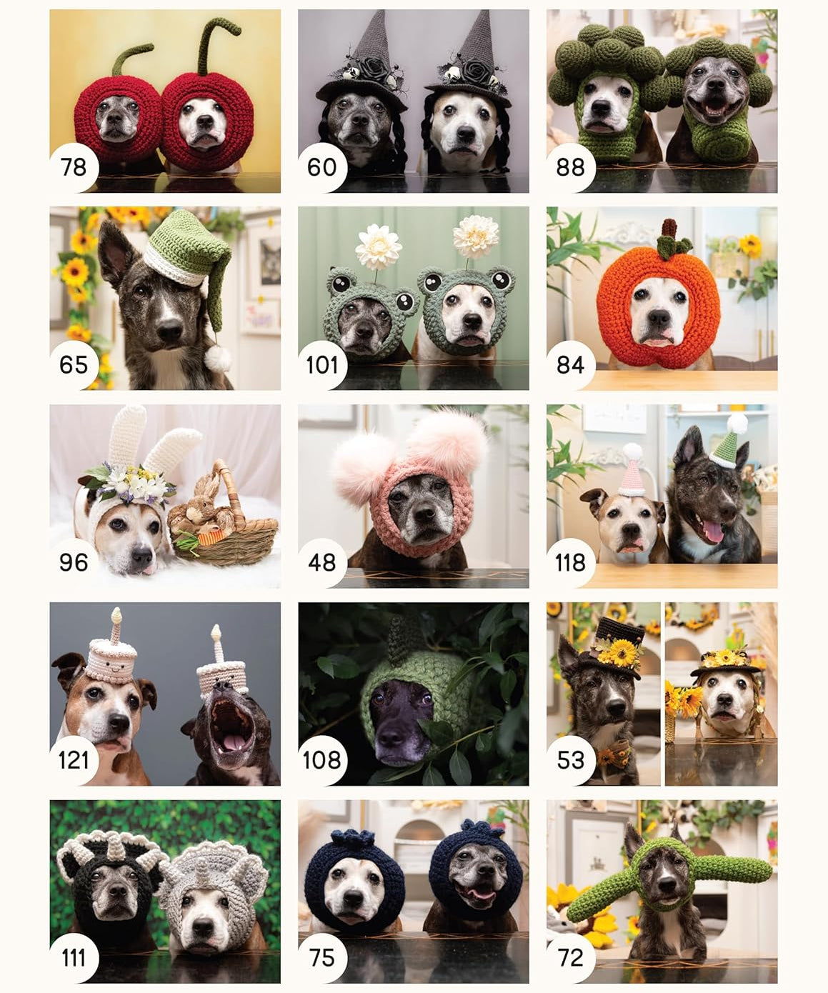 Sookie & Ivy: Crocheting Original Hats for Dogs