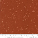 Foraged, Found, & Hand-me-Down