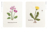Cross Stitch Wildflowers and Grasses