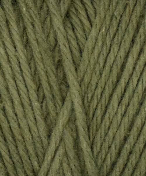 Coastal Cotton