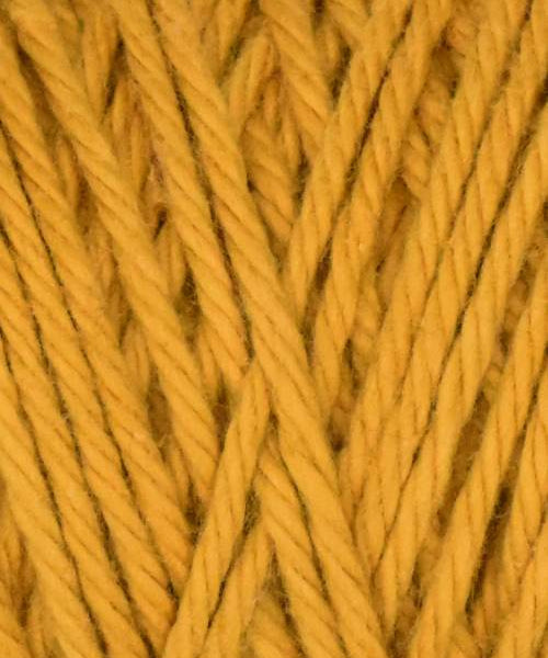 Coastal Cotton
