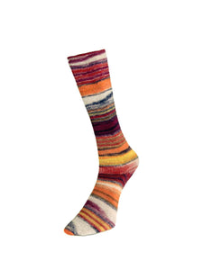 Eclectic Sock Yarn