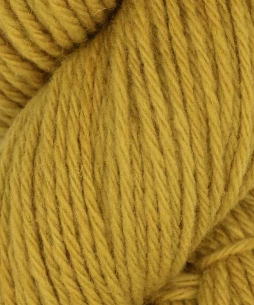 Santa Cruz Organic Merino