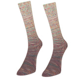 Laines du Nord Paint Gradient Sock Yarn