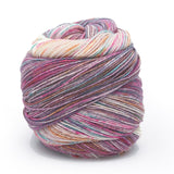 Laines du Nord Paint Gradient Sock Yarn