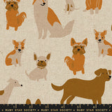 RSS Dog Park Canvas