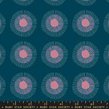 RSS Reimagined Landscapes