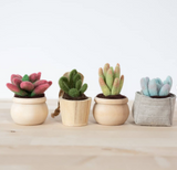 Succulent Mini Needle Felting Kit