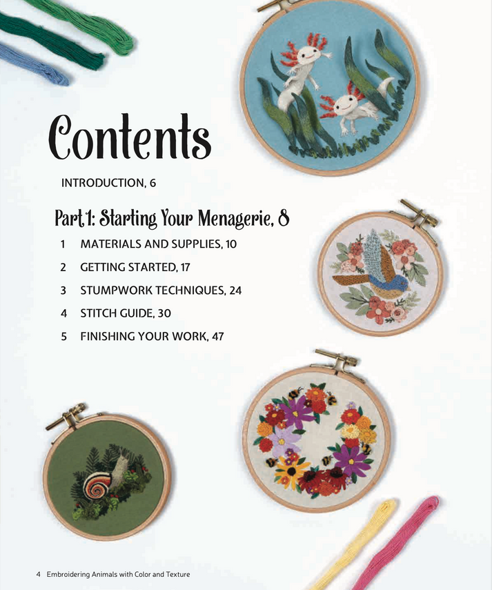Embroidering Animals with Color and Texture