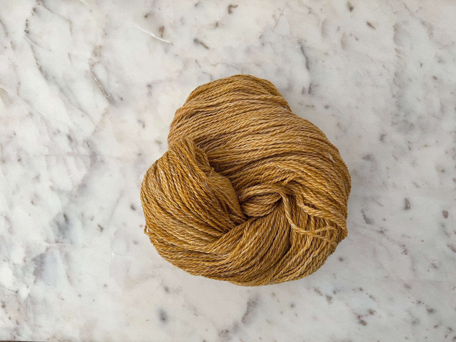 Little Fox Willow
