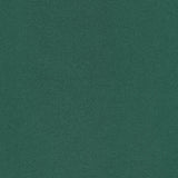 Mammoth Solid Flannel