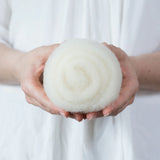 Felter's Palette Wool Roving 1 oz