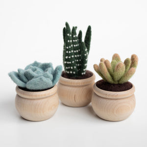 Succulents Needle Felting Kit