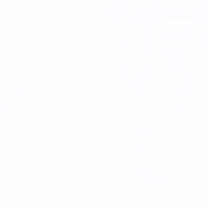 Superluxe White Poplin