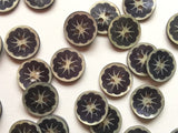 Matte Flower Shell Buttons 12mm