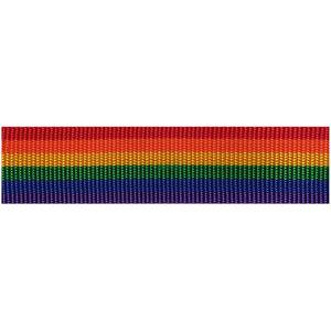 Rainbow Webbing 1.5" (by the yard)