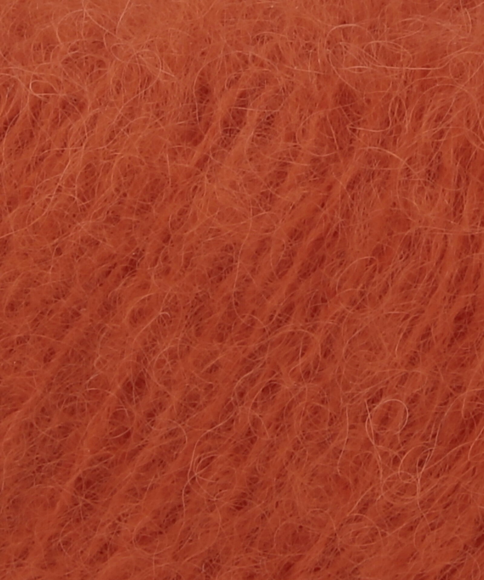 Lang Suri Alpaca
