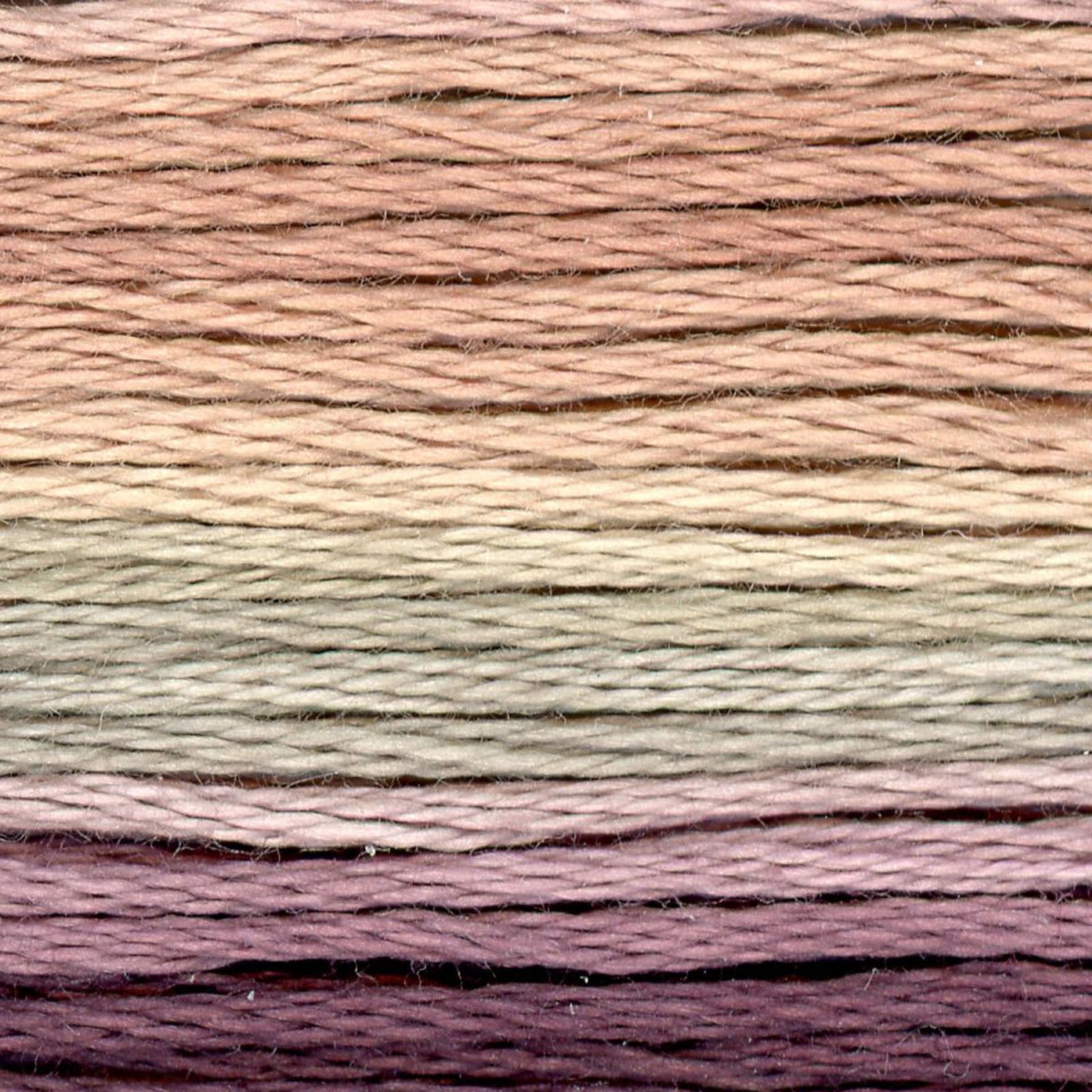 Embroidery Floss Cosmo Seasons 8.75Y Variegated