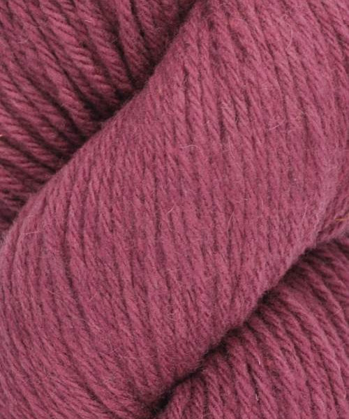 Santa Cruz Organic Merino