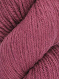 Santa Cruz Organic Merino