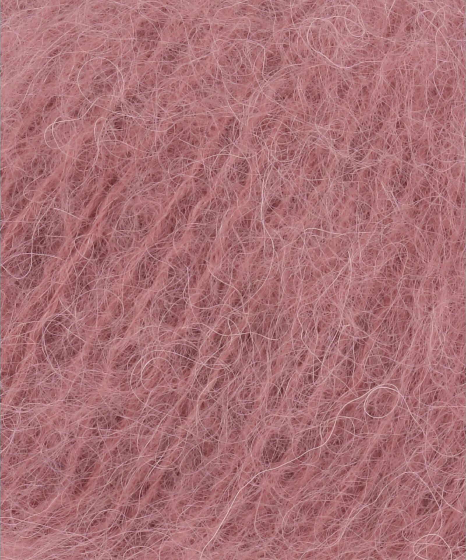Lang Suri Alpaca
