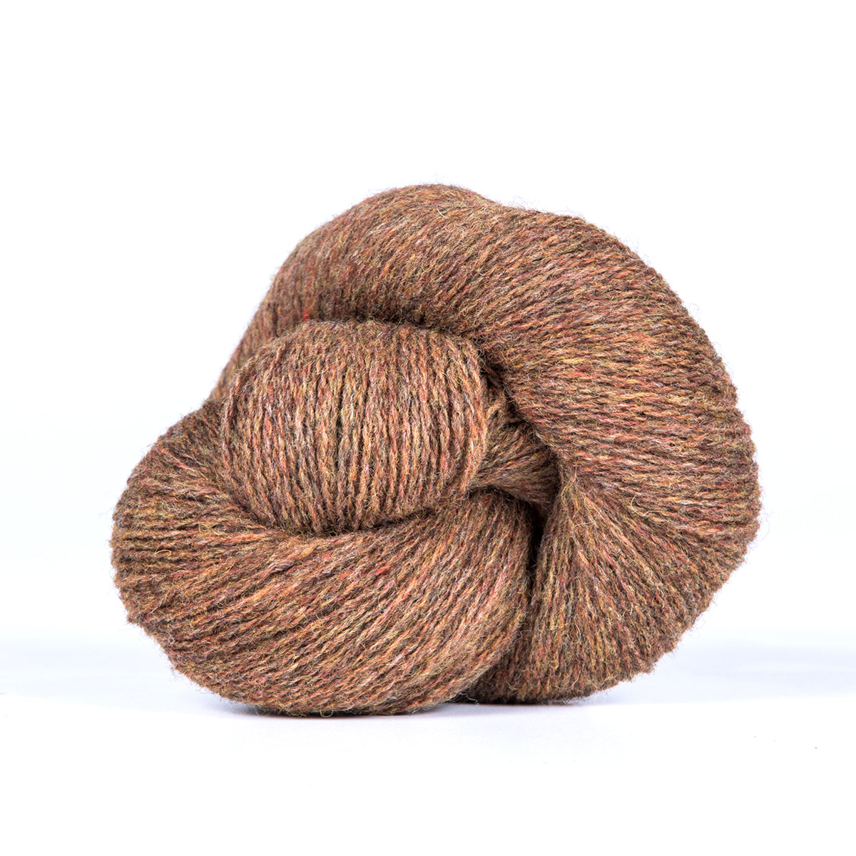 Bio Shetland