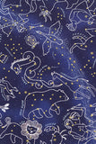 Star Map Embroidery Art Kit