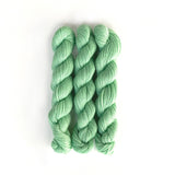 Perennial Mini Skeins