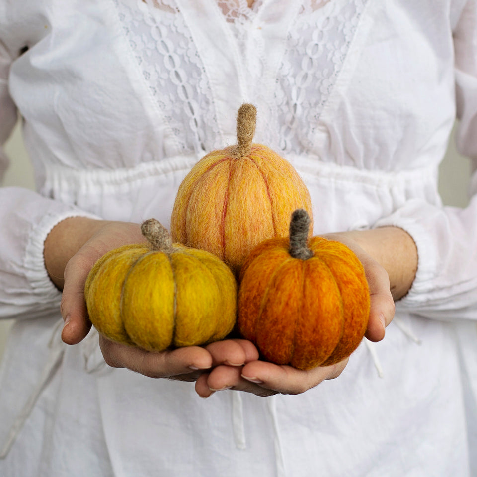 Pumpkins Needle Felting Kit