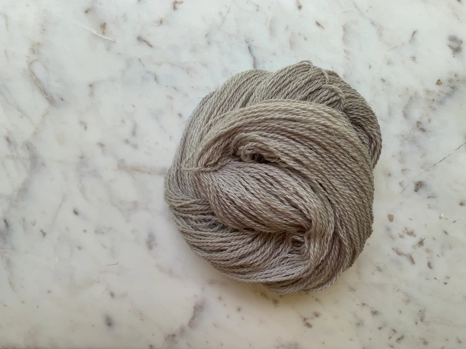 Little Fox Willow