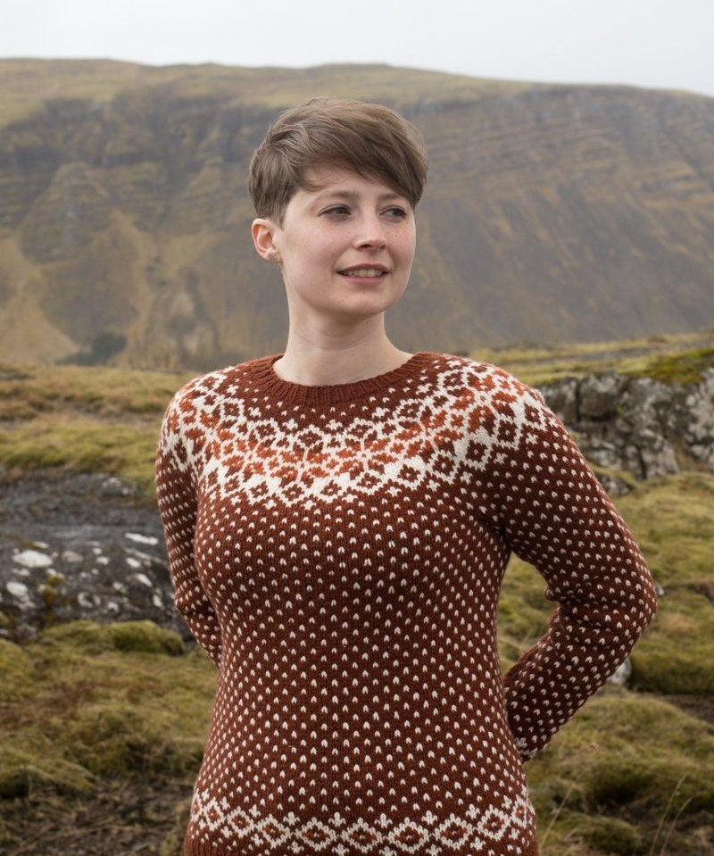 Strange Brew: A Colourwork Knitting Adventure